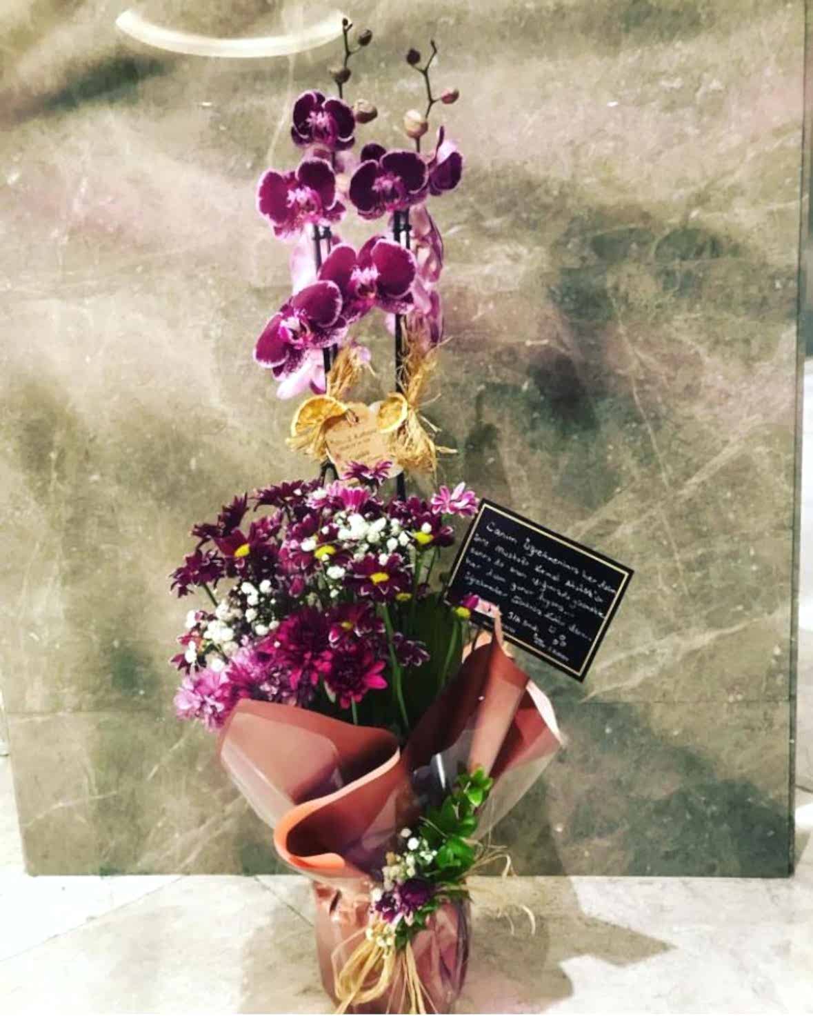 Çift Dallı Mor Orkide, Çiçeklerle Aranjmanlanmış